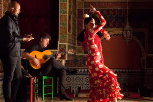 espectaculo-flamenco-torres-bermejas-589x392